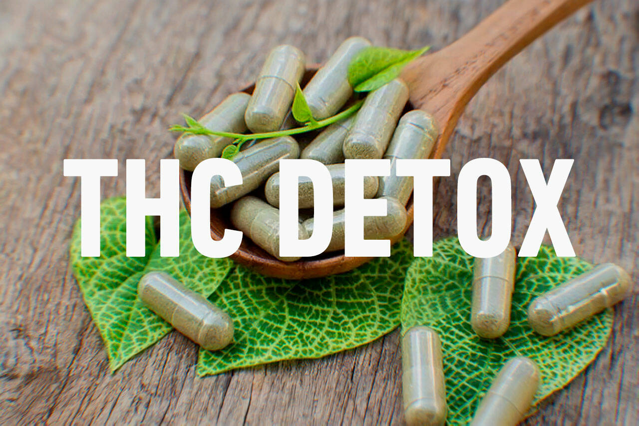 Important things to look for in a THC detox kit that works for you